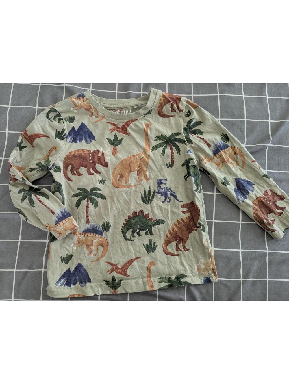 Nutmeg Dino top